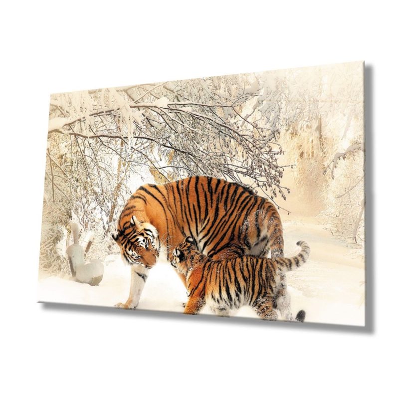 Kaplan Hayvan Cam Tablo | Dekoratif Cam Tablo 4mm Dayanıklı Temperli Cam