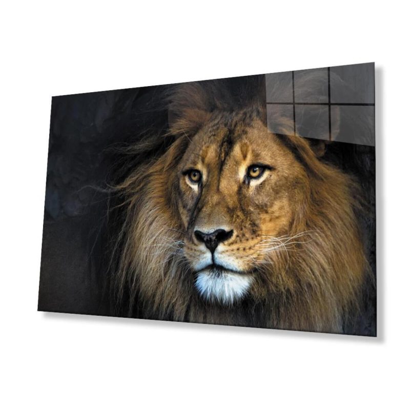 Aslan Cam Tablo 4mm Dayanıklı Temperli Cam