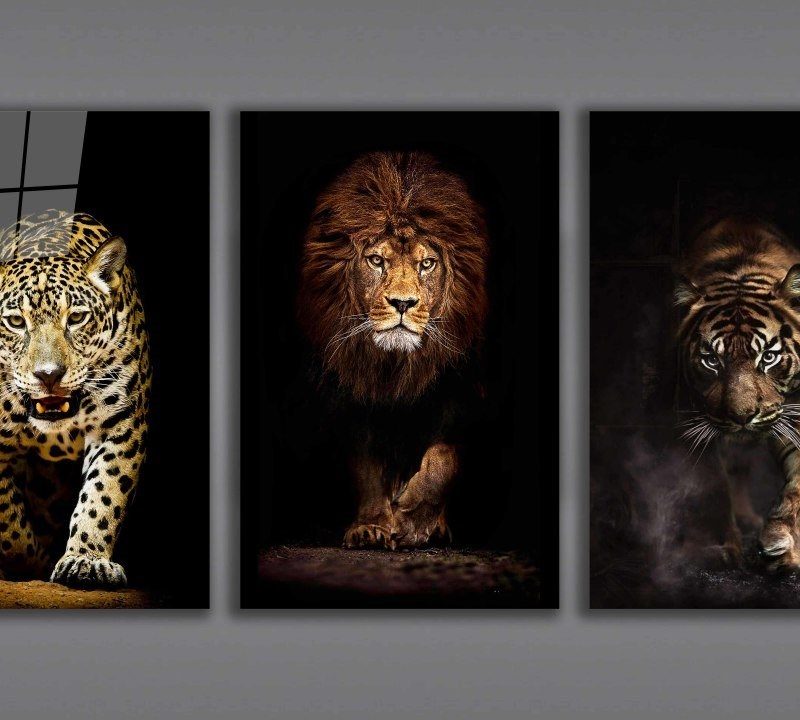 Aslan,Kaplan,Jaguar 3 lü Set  Cam Tablo