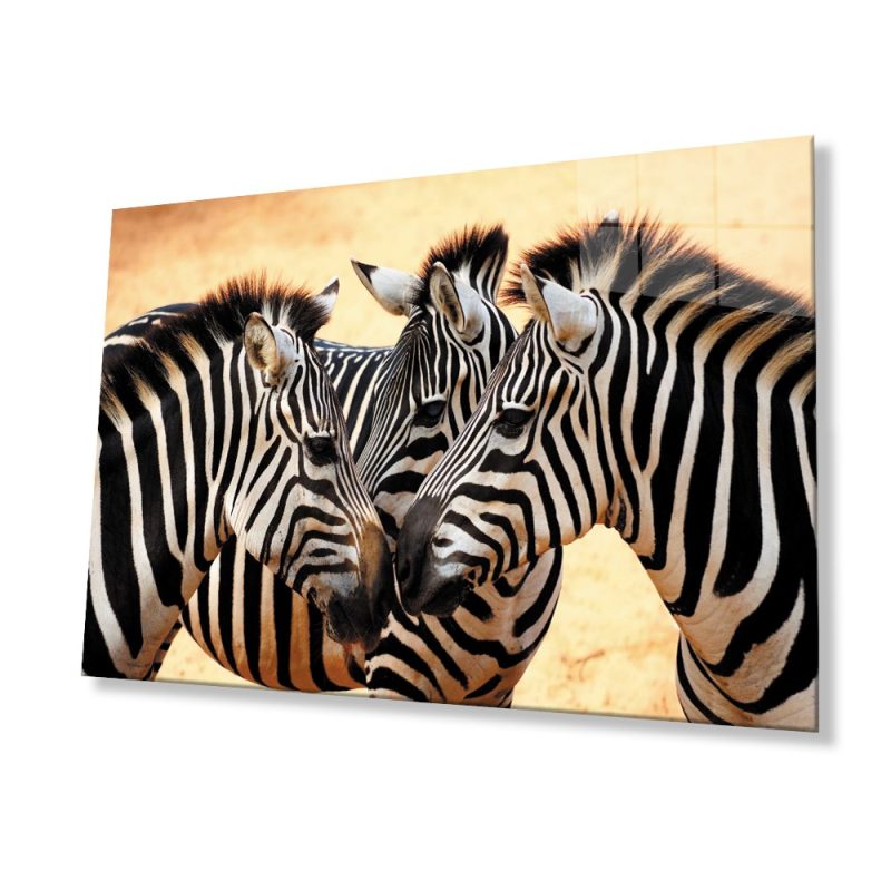 Zebra Hayvan Cam Tablo 4mm Dayanıklı Temperli Cam
