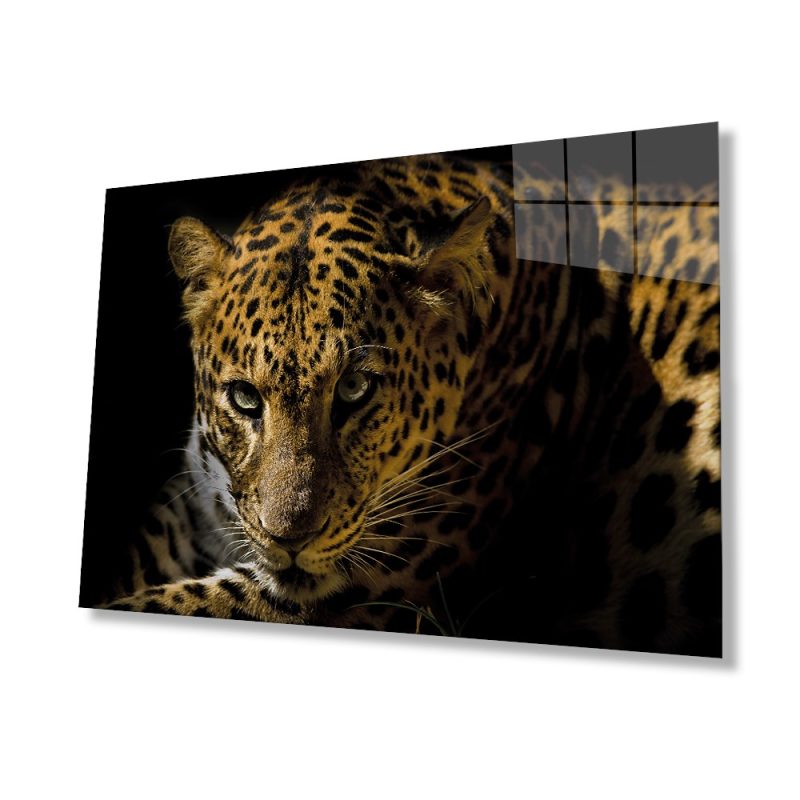 Leopar Hayvan Cam Tablo