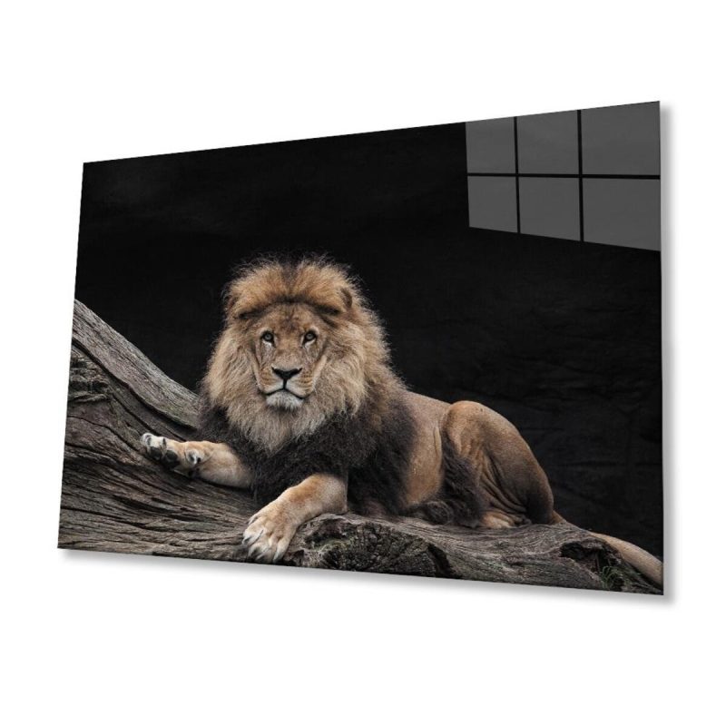 Aslan Cam Tablo