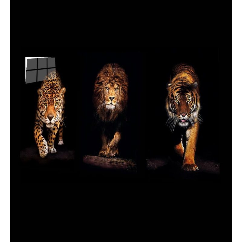 Aslan,kaplan,jaguar 3 Lü Set Cam Tablo