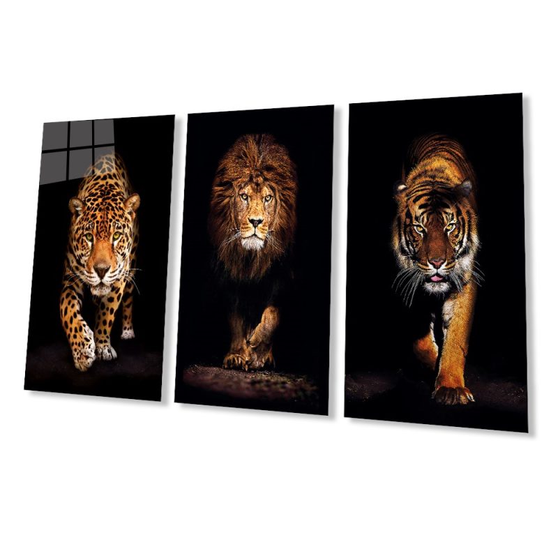 Aslan,kaplan,jaguar 3 Lü Set Cam Tablo