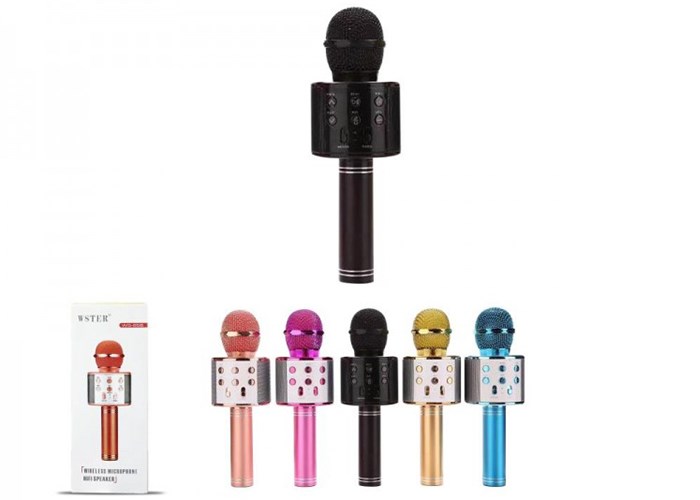 Platoon PL-2463 Karaoke Mikrofon