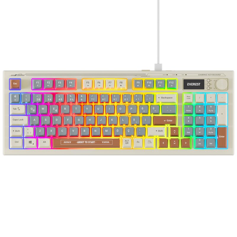 Everest KB-79 SILENT PRO Gri Mavi/Gri/Kahve SESSİZ RGB Q Membrane Oyuncu Klavyesi