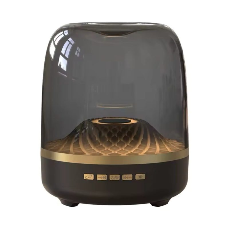 Platoon PL-4437 GLASS 5 MINI Bluetooth, SD, USB Girişli Bluetooth Destekli Type-C Speaker