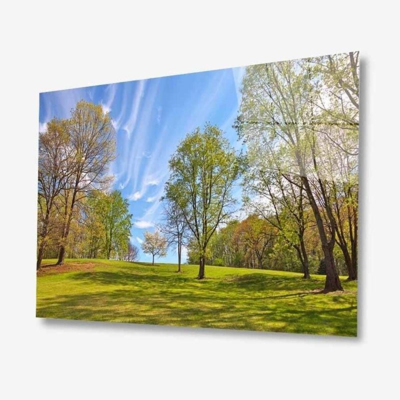 Doğa Cam Tablo 4mm Dayanıklı Temperli Cam